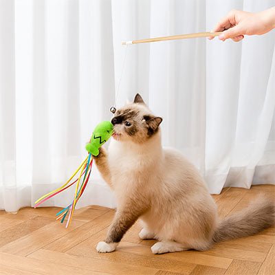 Jeu pour chat - Baguette avec poisson, cloche et ruban - Chatyfyclub