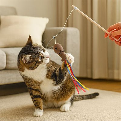 Jeu pour chat - Baguette avec poisson, cloche et ruban - Chatyfyclub