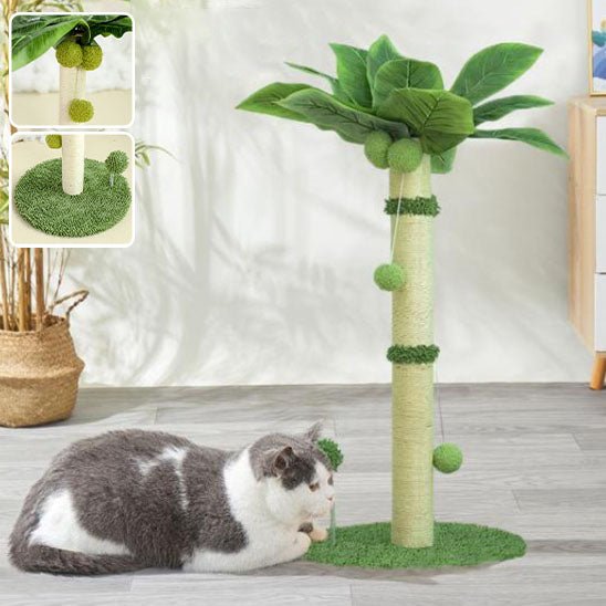 Jeu pour chat - Griffoir palmier avec balle - Chatyfyclub