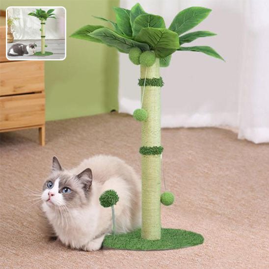 Jeu pour chat - Griffoir palmier avec balle - Chatyfyclub