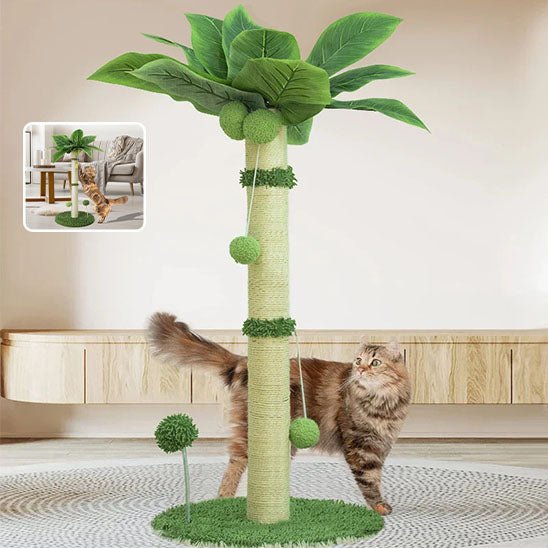 Jeu pour chat - Griffoir palmier avec balle - Chatyfyclub