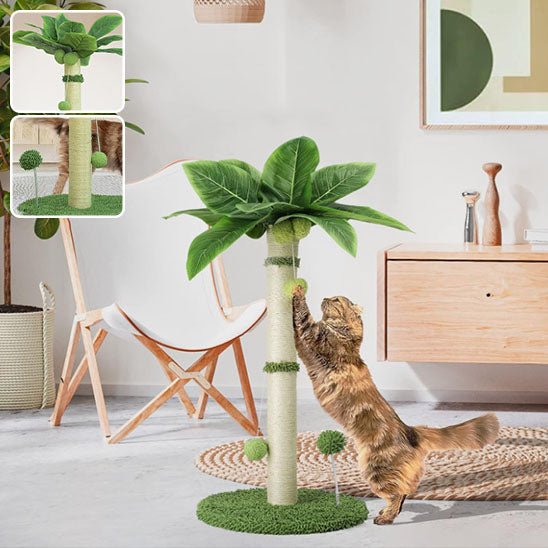 Jeu pour chat - Griffoir palmier avec balle - Chatyfyclub