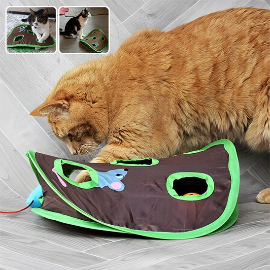 Jeu pour chat Tunnel Ă 9 trous