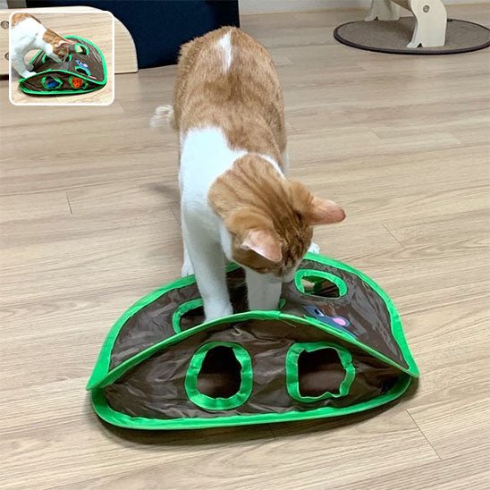 Jeu pour chat Tunnel Ă 9 trous