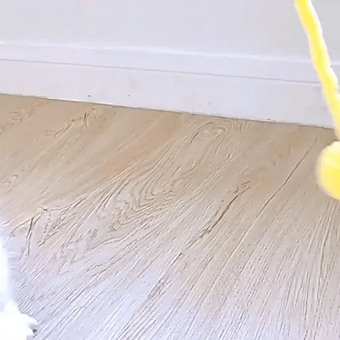 Jouet pour chat - Boule de fil colorée avec cloche - Chatyfyclub