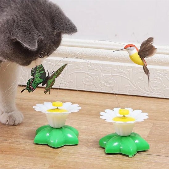 Jouet pour chat Papillon electrique rotatif et colibri