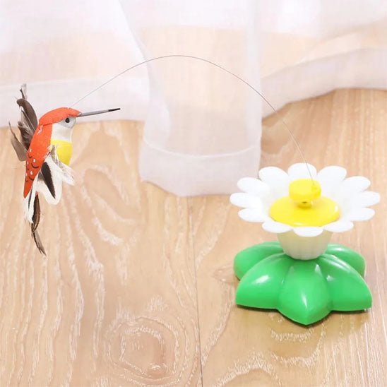 Jouet pour chat - Papillon électrique rotatif et colibri - Chatyfyclub