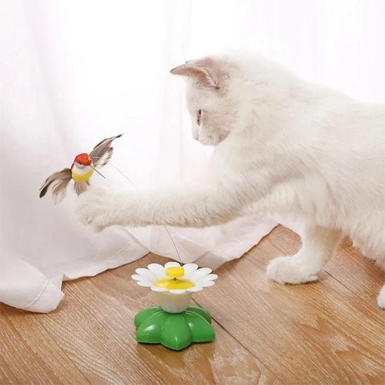 Jouet pour chat Papillon électrique rotatif et colibri