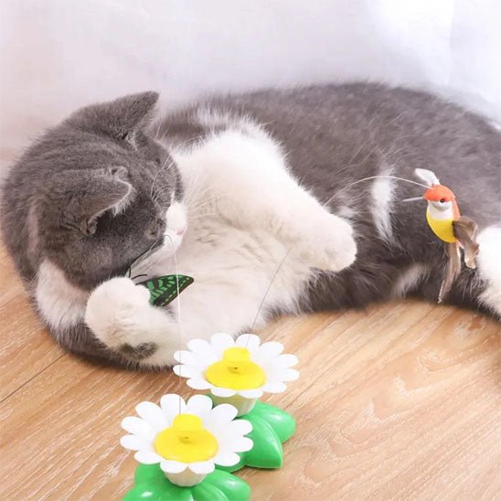 Jouet pour chat - Papillon électrique rotatif et colibri Chatyfyclub