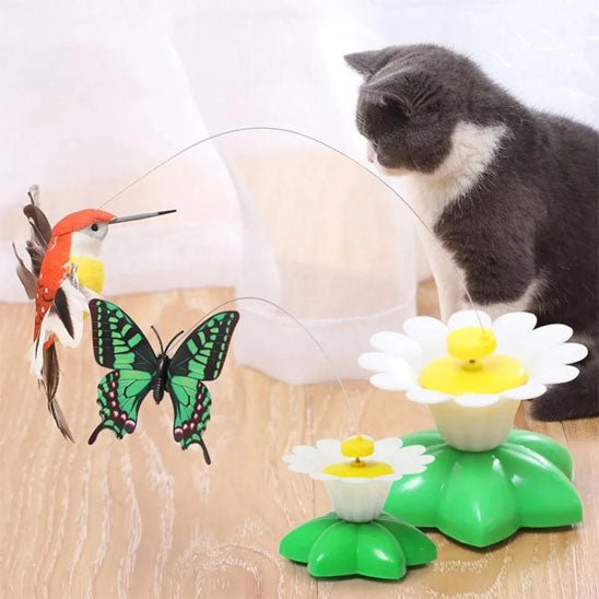 Jouet pour chat Papillon électrique rotatif et colibri