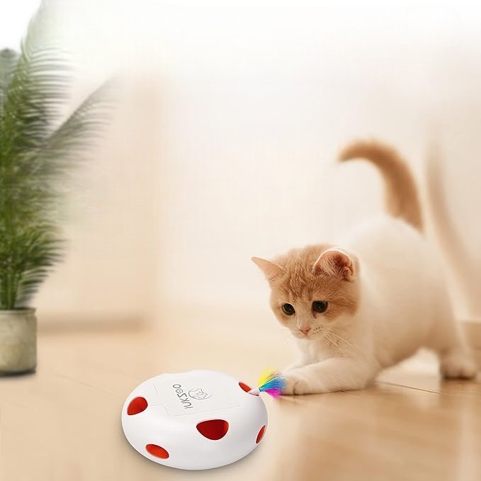 Jeu Chat - PlumeMagique™ - Blanc - Chatyfyclub