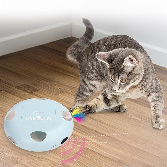 Jeu Chat - PlumeMagique™ - Bleu - Chatyfyclub