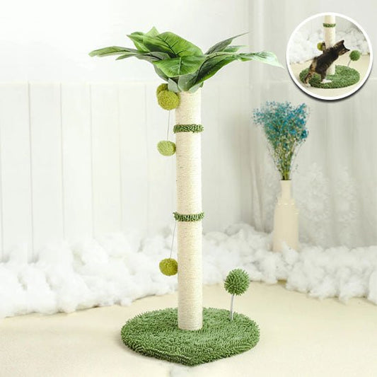 Jeu pour chat - Griffoir palmier avec balle - Chatyfyclub