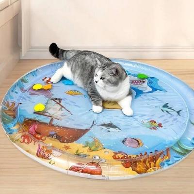 jouet eau chat tapis 