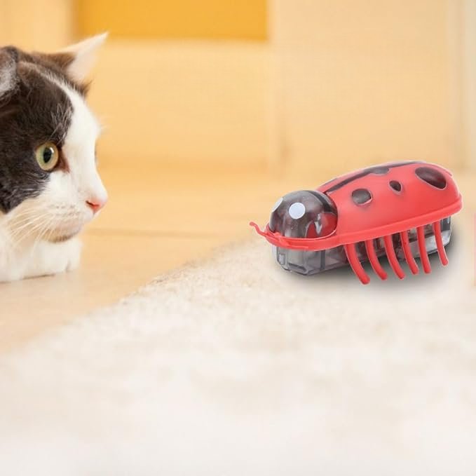 Jouet pour Chat - MiniInsecteToy™ - Coccinelles - Chatyfyclub