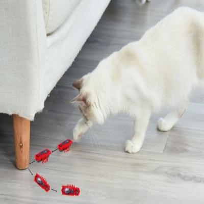 Jouet pour Chat - MiniInsecteToy™ - Scarabée Rouge - Chatyfyclub