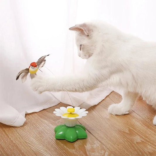 Jouet pour chat  Papillon électrique rotatif et colibri 