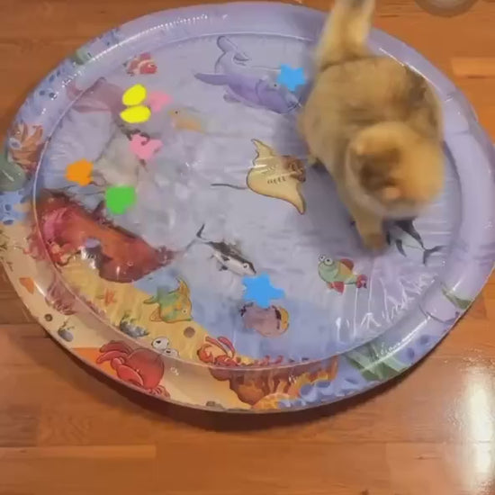 tapis d'eau chat jouet
