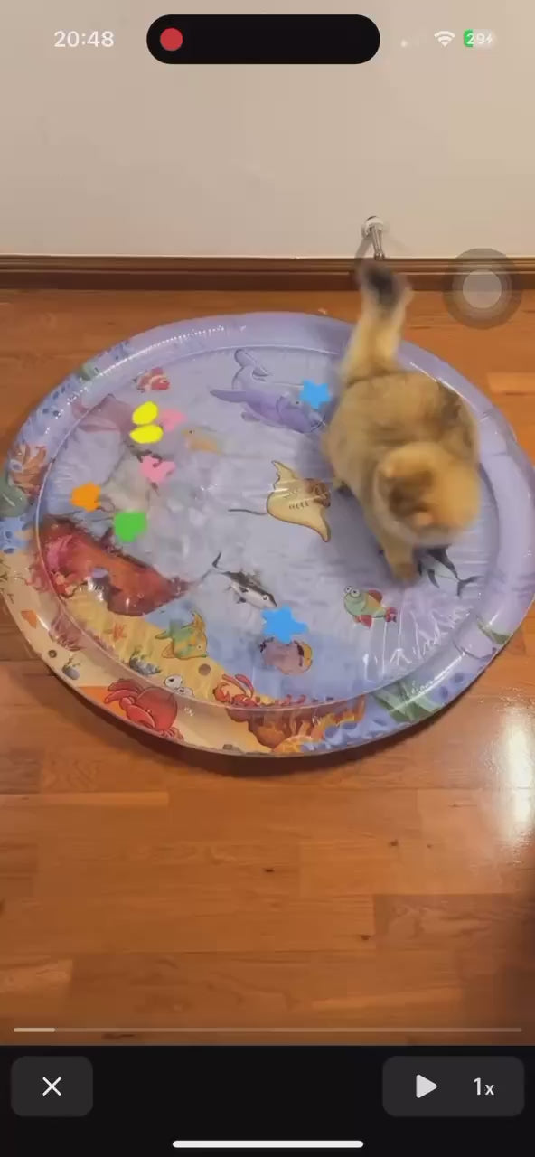 tapis d'eau chat jouet